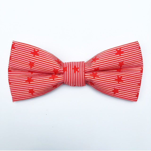 Washington DC Bow Tie - Magnetic Bow Tie Men