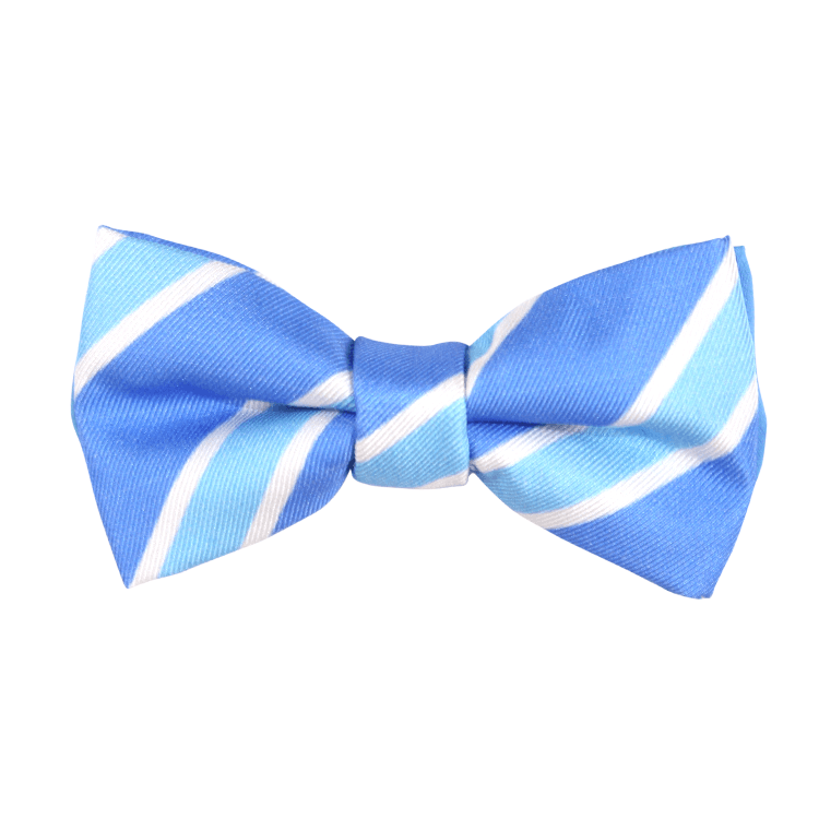 Bowtie - Blue Diagonal Stripes Magnetic Bow Tie