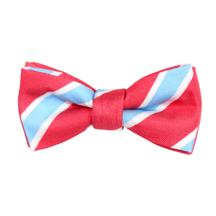 Bowtie - Classic Blue And Coral Stripe Magnetic Bow Tie