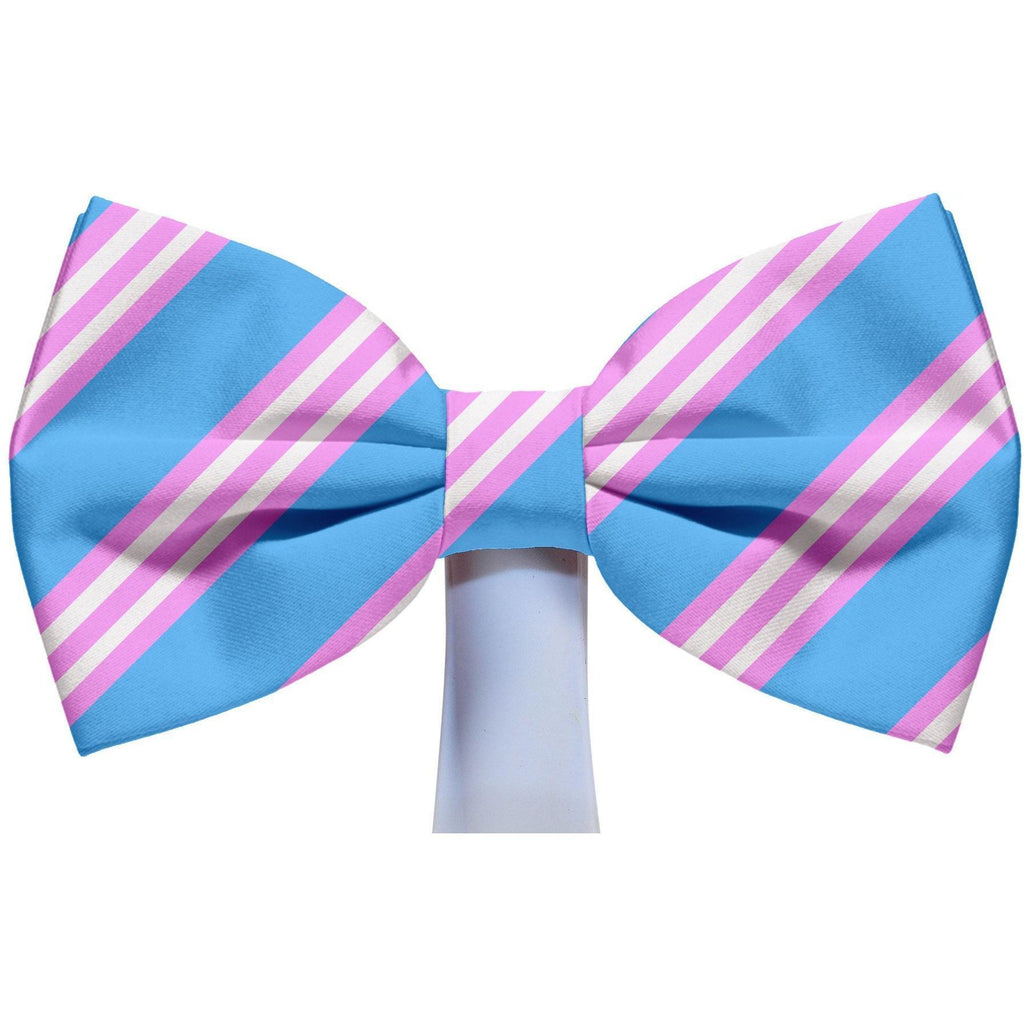 Bowtie - Classic Light Blue And Pink Magnetic Bow Tie