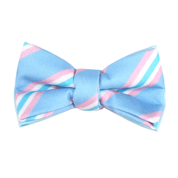 Bowtie - Classic Spring Blue And Pink Stripe Magnetic Bow Tie
