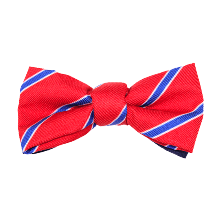 Bowtie - Classic Stripes Red And Blue Magnetic Bow Tie