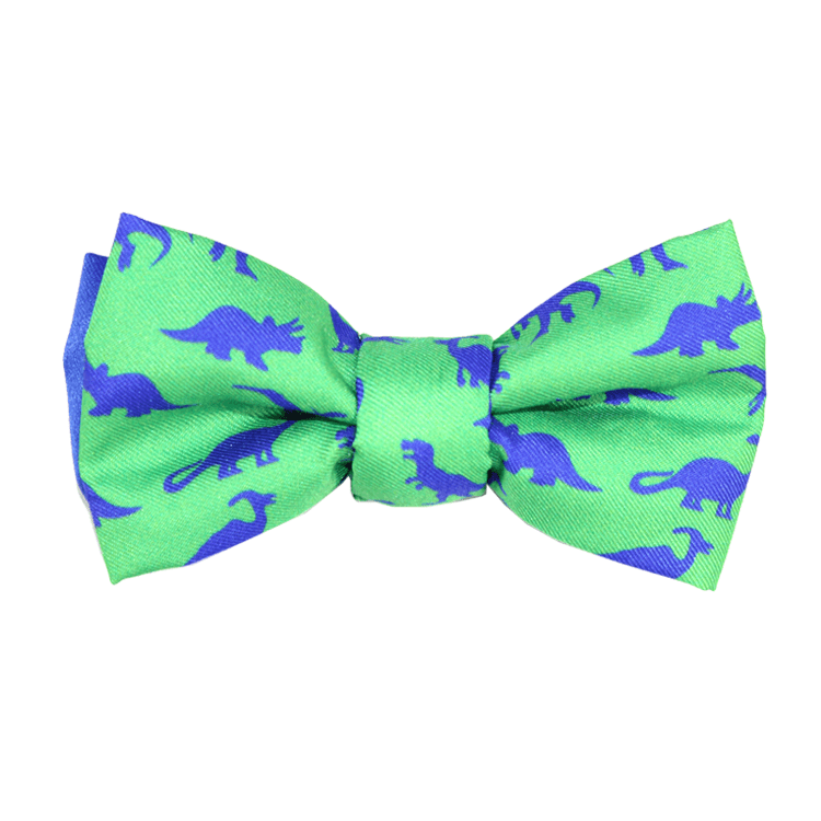 Bowtie - Dinosaur Green And Blue Magnetic Bow Tie