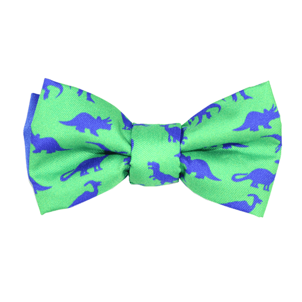 Bowtie - Dinosaur Green And Blue Magnetic Bow Tie