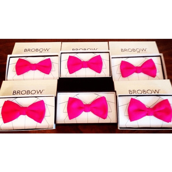 Stephanie + Dustin Wedding